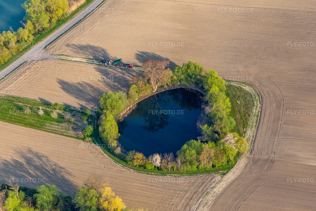 Luftbild: Biotop am Neupotzer Altrhein in Jockgrim im Bundesland Rheinland-Pfalz in Deutschland. Foto: IMG_126461.jpg vom 20.04.2021 durch Werner Riehm/FLY-FOTO.de