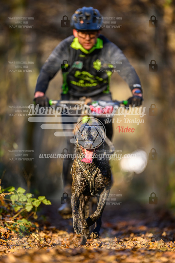 MompixPhotography_Eschau2024_Bike-16 | PayLife