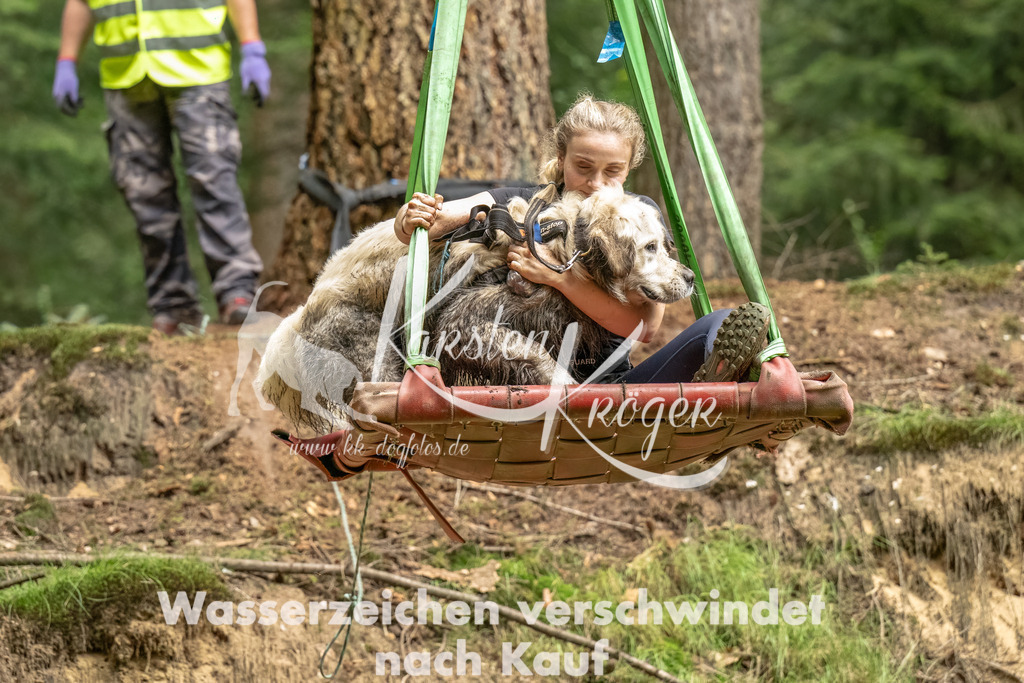 1258_ZZ91849-Bearbeitet | kk-dogfotos