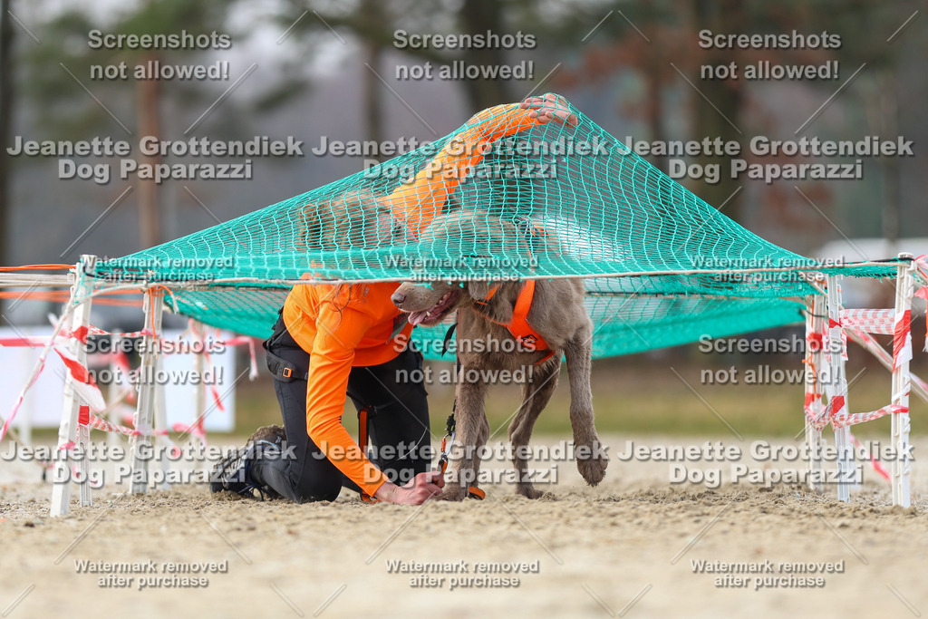 Dog Paparazzi - Strongdog North Mrz26-4243 | Dog Paparazzi Jeanette Grottendiek Fotografie & Videografie - Realisiert mit Pictrs.com
