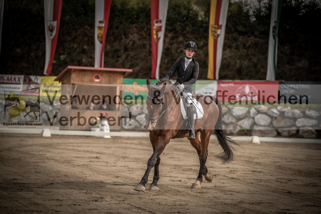 DSC_8269 | equestrian-live-com