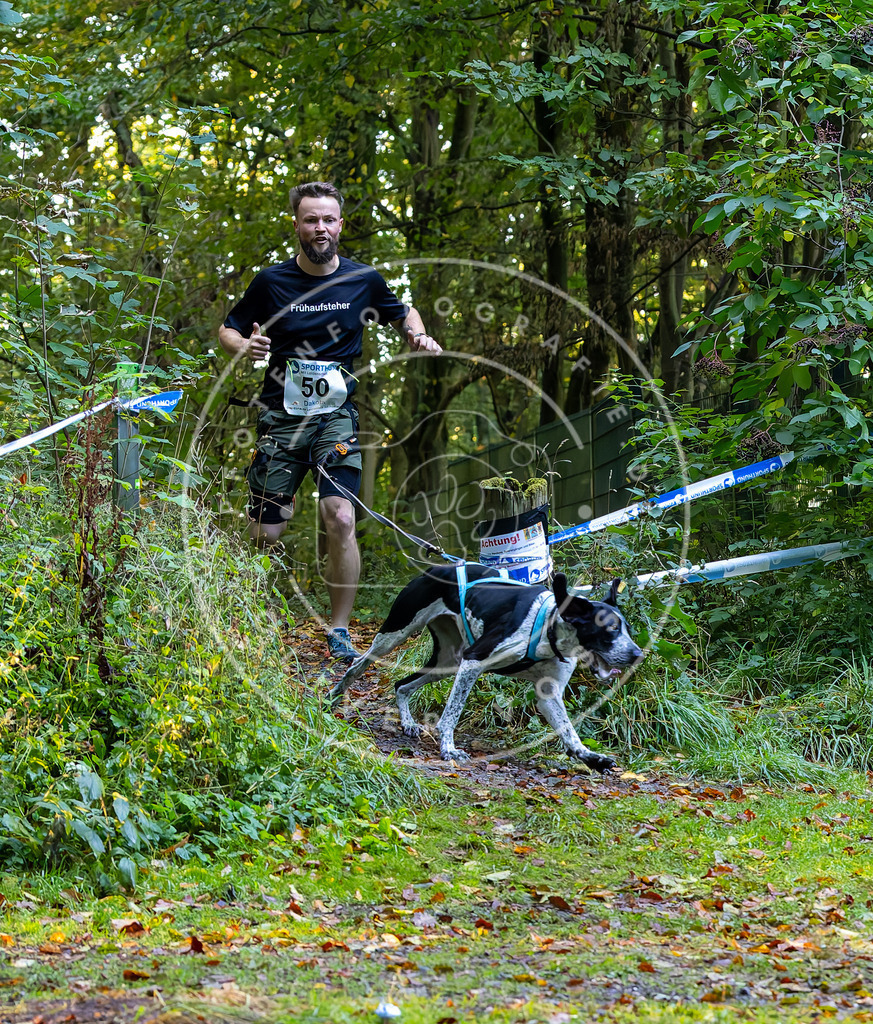 Pfotenfotografie_DV3A7014 | Hundefotografie, Tierfotograf, Pfotenfotografie, Fotoshooting Hund, Hunde Portrait, Hundesport, Hundeportraits, Heideshooting, Hunde, Sportfotograf, Hundefotograf, Turnierhundsport, THS,  - Realisiert mit Pictrs.com