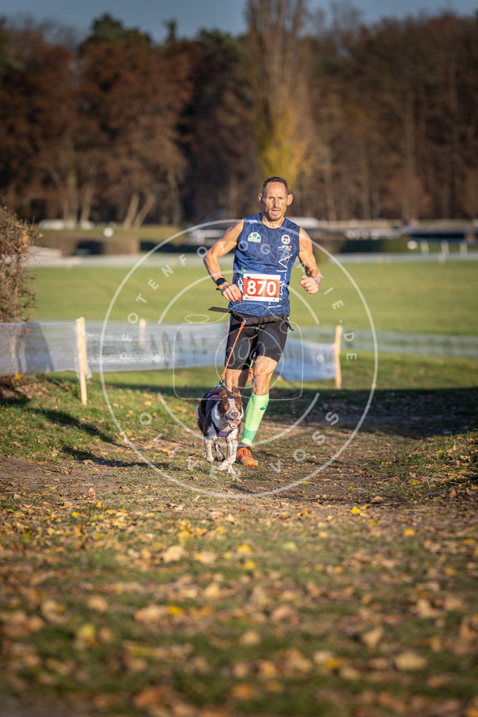 CaniXpix_DV3A4158 | Hundefotografie, Tierfotograf, Pfotenfotografie, Fotoshooting Hund, Hunde Portrait, Hundesport, Hundeportraits, Heideshooting, Hunde, Sportfotograf, Hundefotograf, Turnierhundsport, THS,  - Realisiert mit Pictrs.com