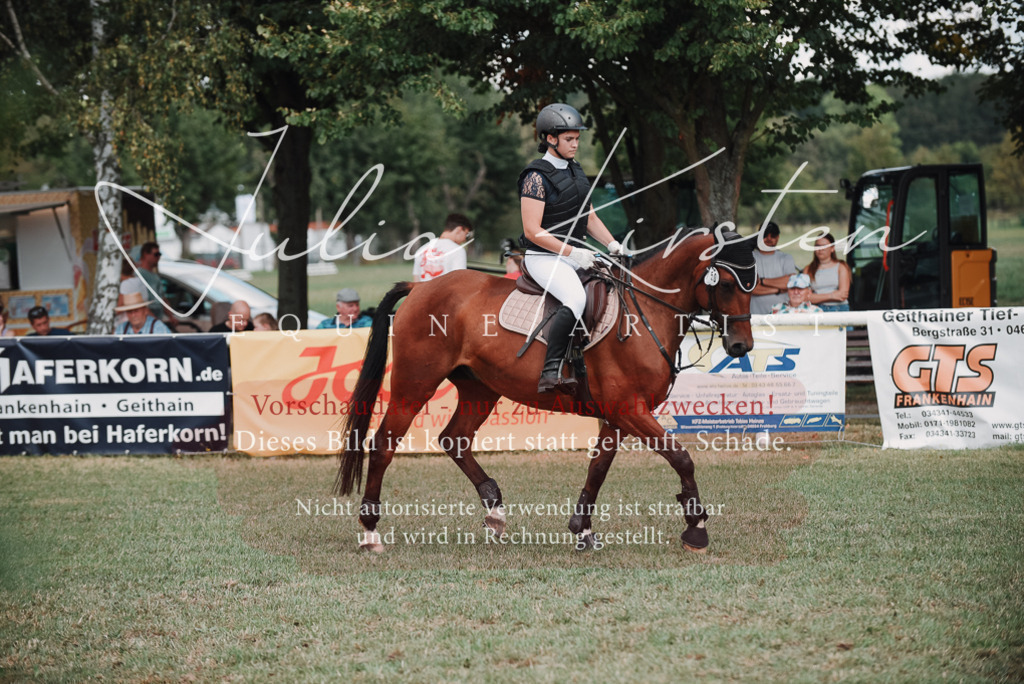 DSC_5669 | Pferde- und Turnierfotografie in Westsachsen. Pferdeportraits, Auftragszeichnungen und intuitive Kunst.