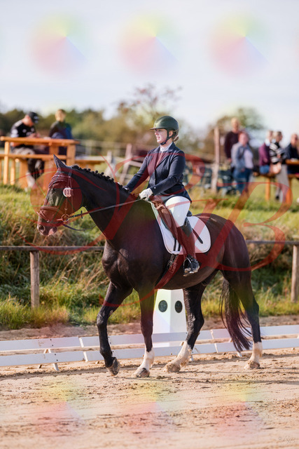 2026_10_03_Siefer-Hof_113247_Z81_78920034 | Professionelle Reitsport-, Turnier- und Eventfotografie von Robert Broda. Galerien mit ausgewählten und bearbeiteten Bildern direkt online ansehen und bestellen.