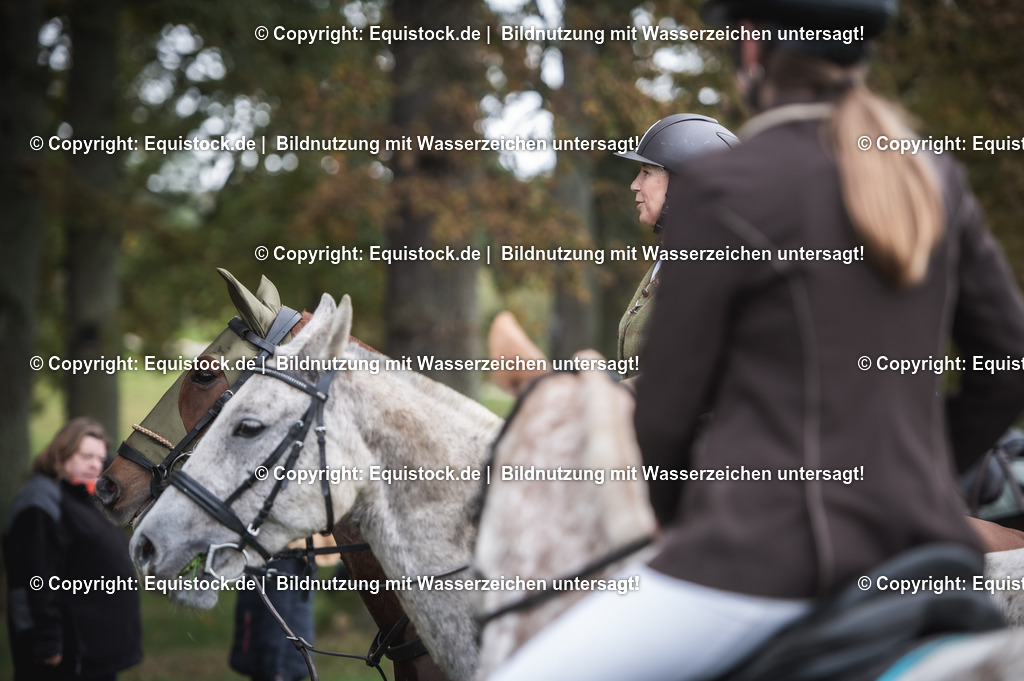 20241013_Jagd-Marbach_0346 | Foto: Thomas Hartig