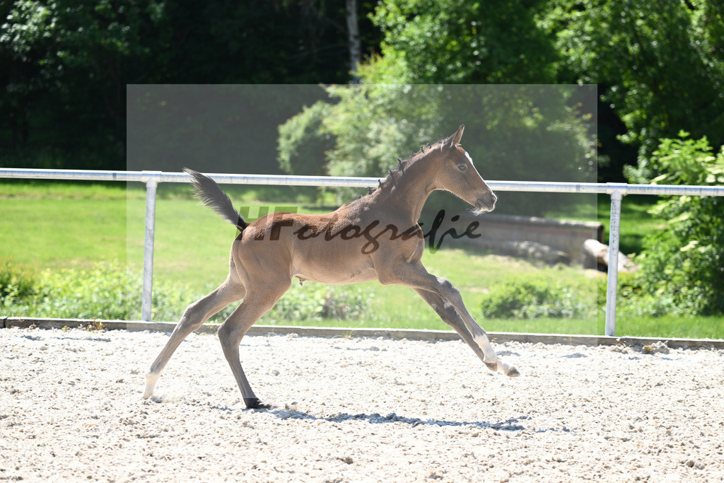 Kat-Nr. 26 HF Vingino_Ruhland_16230355 | hf-fotografie - Realisiert mit Pictrs.com