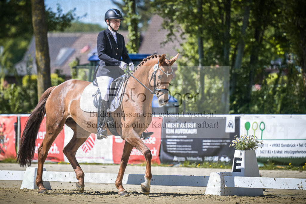 DOS_0228 | Entdecke hochwertige Reitturnierfotos von Foto Oger. Professionell, emotional und authentisch – jetzt Lieblingsmomente im Shop bestellen.Deutschlandweite Turnierfotografie. - Realisiert mit Pictrs.com