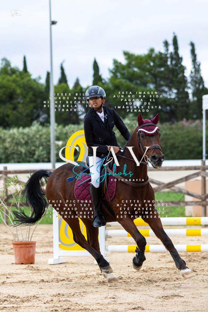 IMG_1357 | s-jay-photography - Realisiert mit Pictrs.com