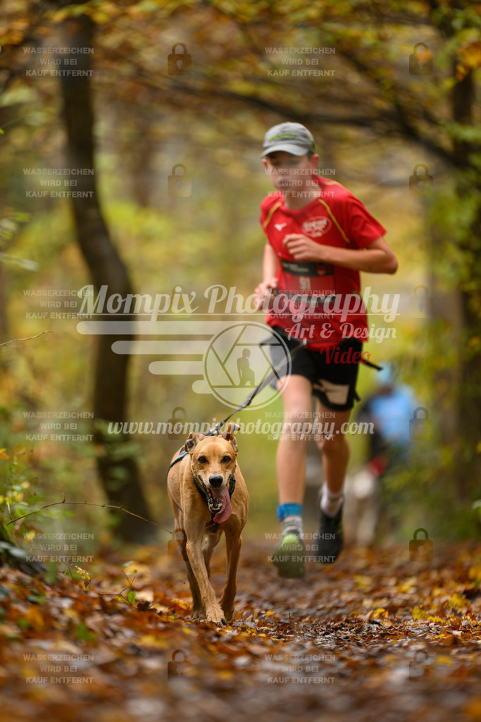 MompixPhotography_CD7S_DI_CCL-69 | mompixphotography