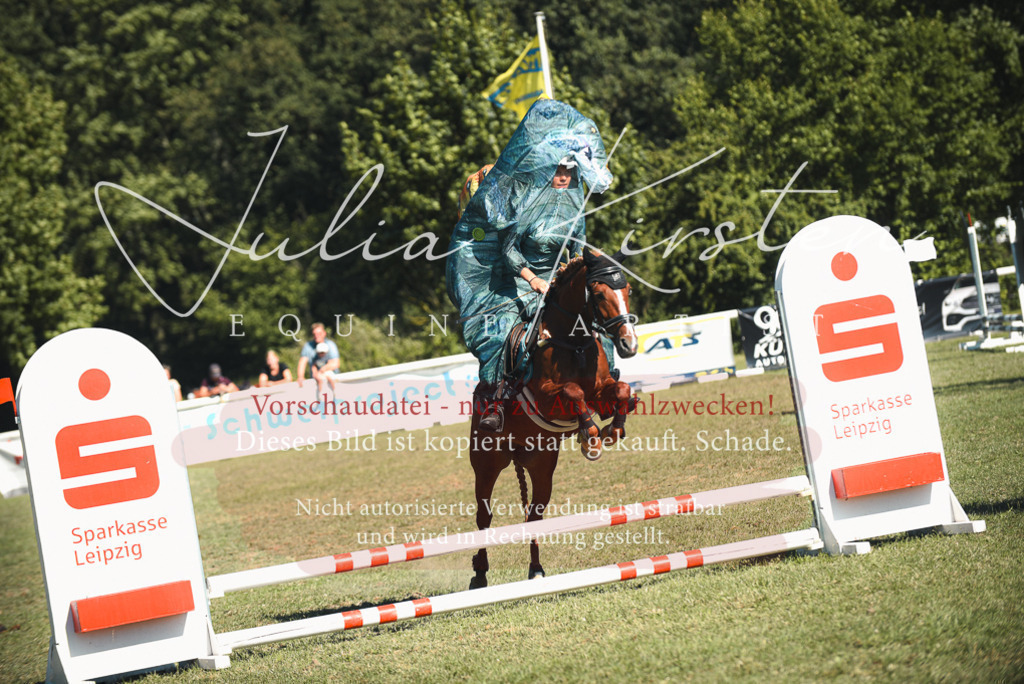 DSC_7652 | Pferde- und Turnierfotografie in Westsachsen. Pferdeportraits, Auftragszeichnungen und intuitive Kunst.