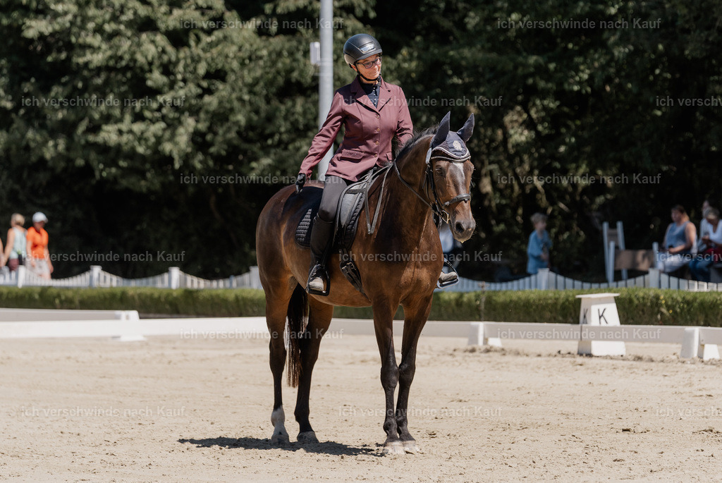 WE_DR_32_SinaFilmArt_IN03286 | working equitationturnier fotograf videograf stoibphotography marixx film working equitation deutschland reitsport turnierfotografie eventfotografie equestrian events