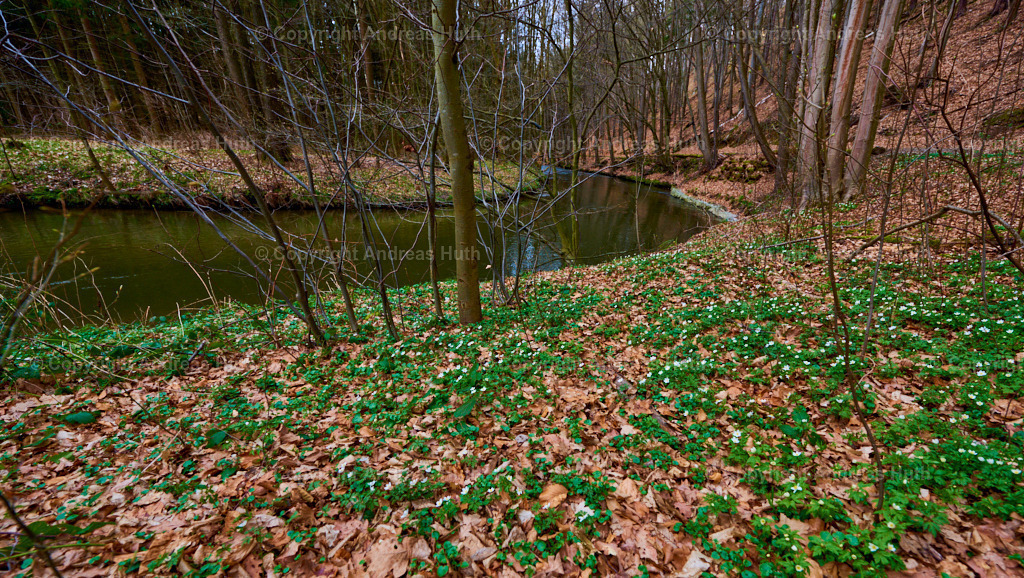 Im Wesenitzgrund westlich von Helmsdorf 01 | Bedeutsame Landschaften Deutschlands - Realisiert mit Pictrs.com