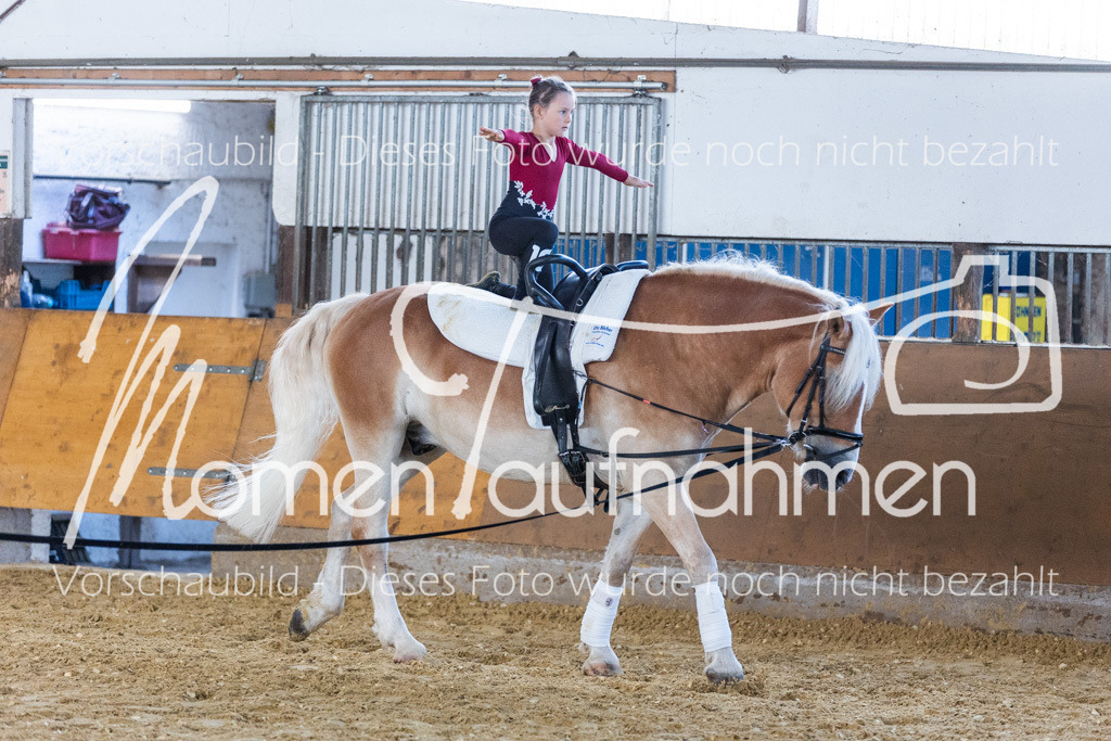 SS-Mini-113 | MomenTaufnahmen Pferdesportfotos