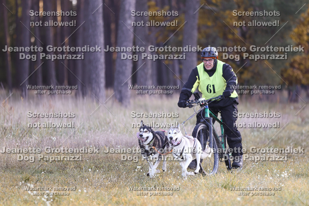 Dog Paparazzi - Elsholz 25 -13 | Dog Paparazzi Jeanette Grottendiek Fotografie & Videografie - Realisiert mit Pictrs.com