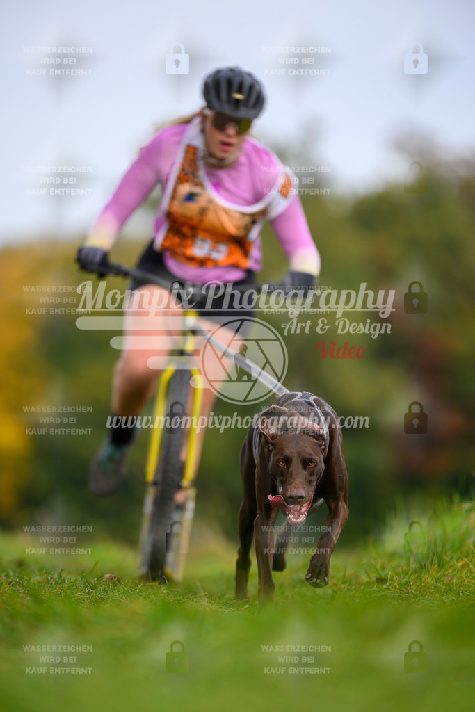 MompixPhotography_CDLBDB2025_DI_DS-67 | PayLife