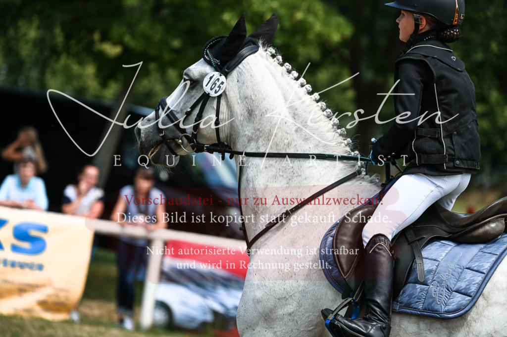 DSC_9831 | Pferde- und Turnierfotografie in Westsachsen. Pferdeportraits, Auftragszeichnungen und intuitive Kunst.