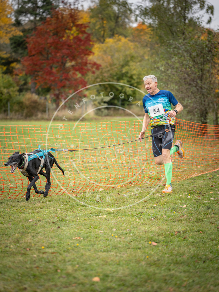 Pfotenfotografie_DV3A2549 | Hundefotografie, Tierfotograf, Pfotenfotografie, Fotoshooting Hund, Hunde Portrait, Hundesport, Hundeportraits, Heideshooting, Hunde, Sportfotograf, Hundefotograf, Turnierhundsport, THS,  - Realisiert mit Pictrs.com