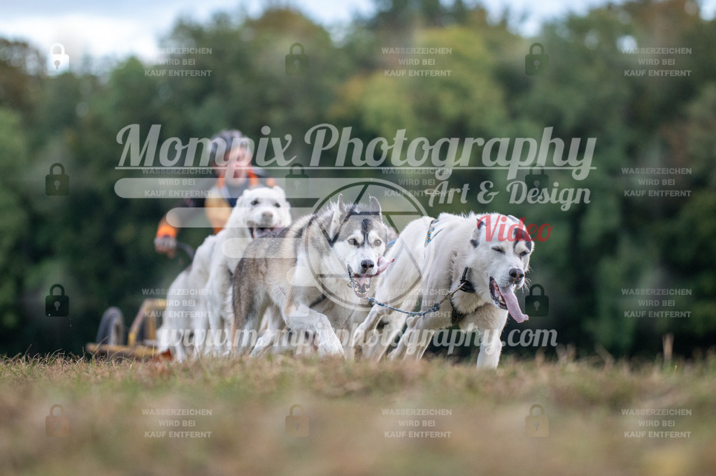 CDLBDB_15_10_2023_Dimanche-36 | PayLife