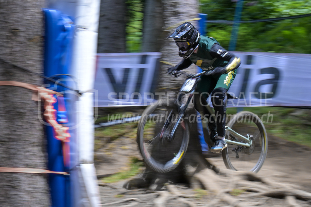 UCI Mountain Bike World Cup Lenzerheide 2022 - Downhill - 9. July 2022 | UCI Mountain Bike World Cup Lenzerheide 2022 - Downhill
Bike Kingdom, Lenzerheide
#129 WEBER Lutz (SUI)
Bild: Sportfotografie Markus Aeschimann | www.markus-aeschimann.ch - Realisiert mit Pictrs.com