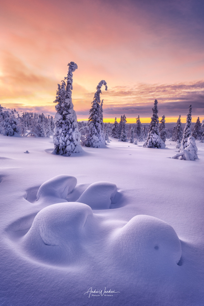 Winterwunderland (Hochformat) | Andre Wandrei - Nature Artworx - Realisiert mit Pictrs.com