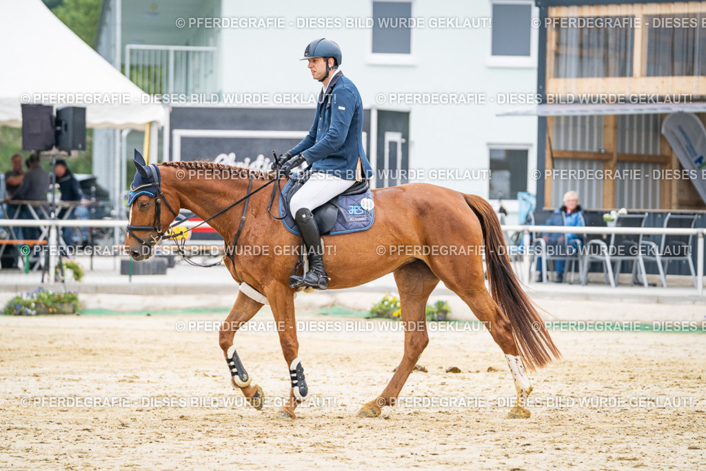 DSC09880 | Pferdegrafie