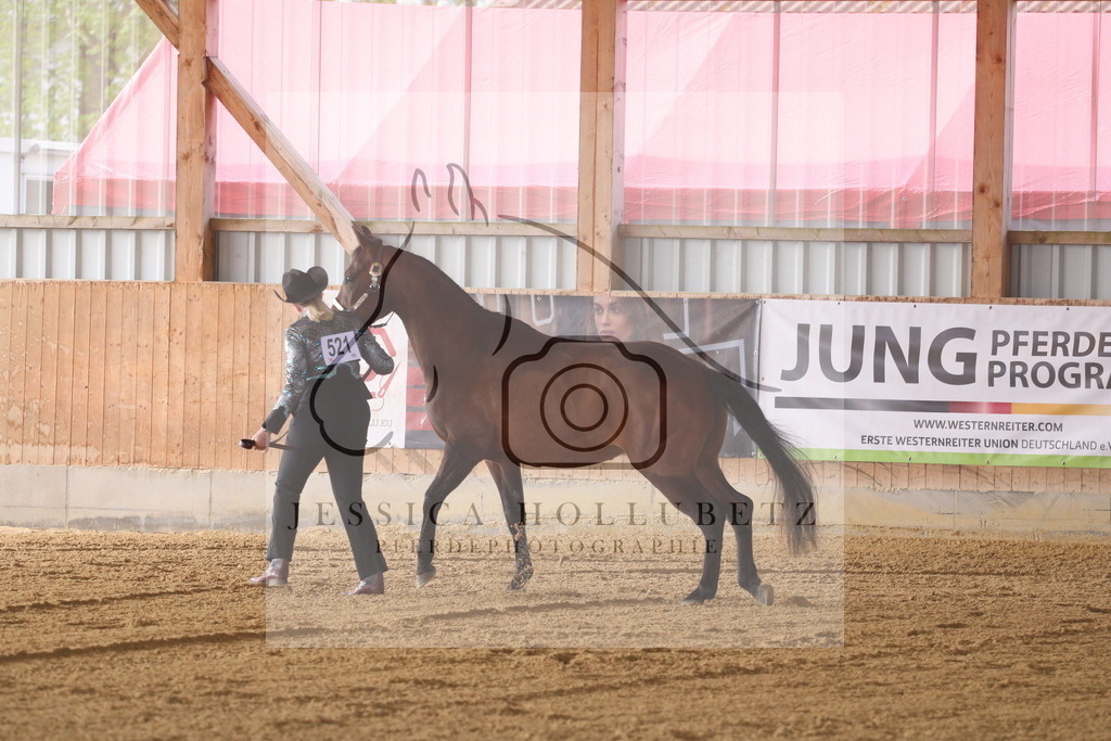 IMG_6685 | jessicahollubetz_pferdephotographie - Realisiert mit Pictrs.com