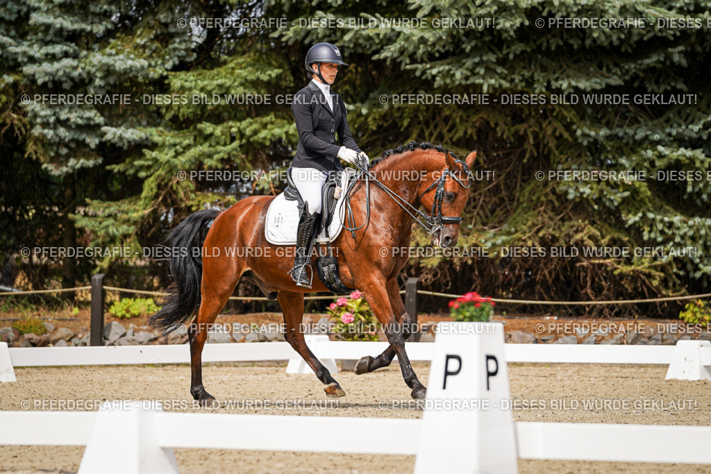 DSC04954 | Pferdegrafie