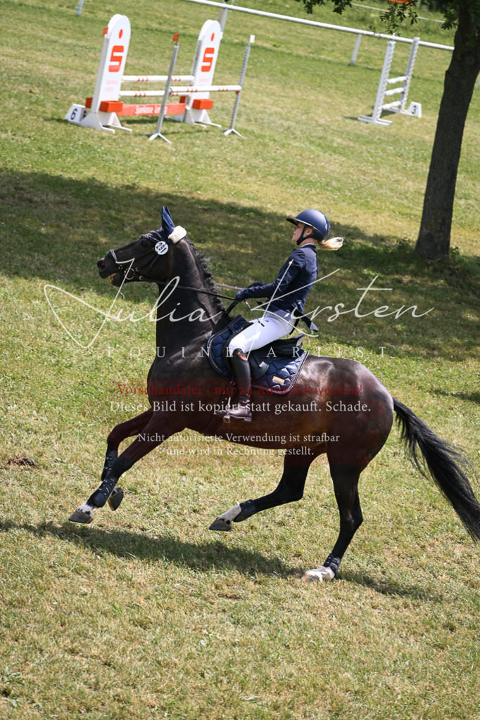 DSC_9457 | Pferde- und Turnierfotografie in Westsachsen. Pferdeportraits, Auftragszeichnungen und intuitive Kunst.