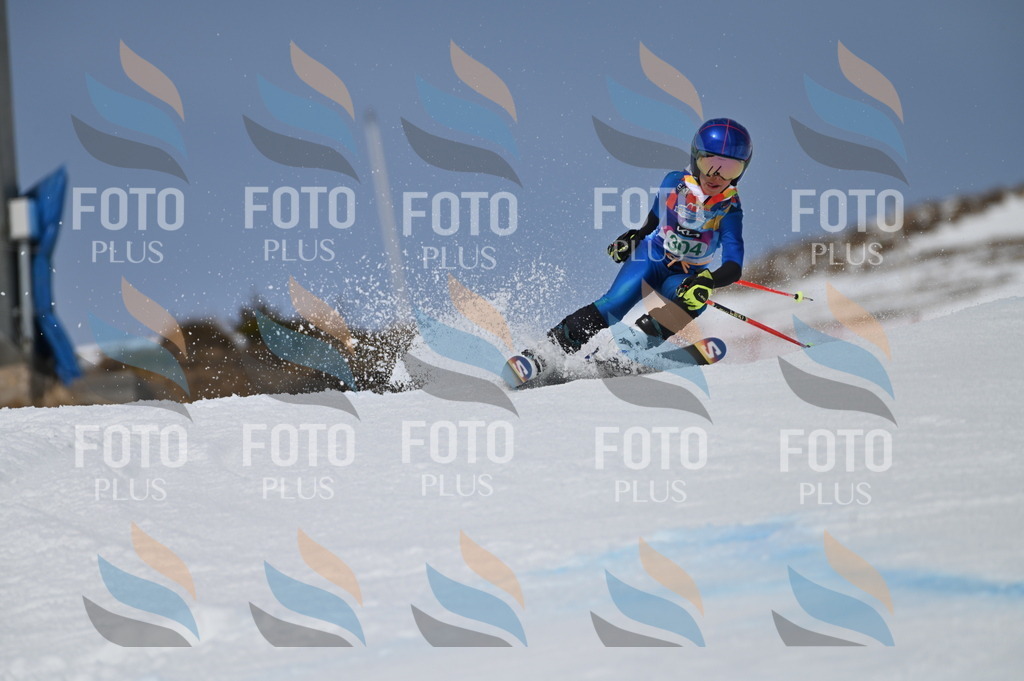 BGV_6018 | holidayphoto