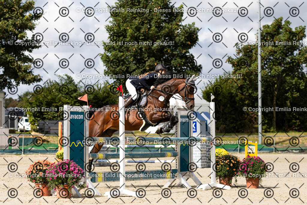 CL5A1536 | Emilia Reinking Fotografie - Realisiert mit Pictrs.com