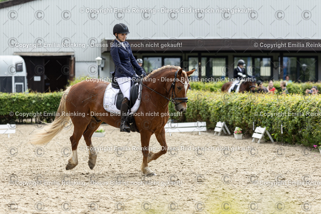 CL5A7779 | Emilia Reinking Fotografie - Realisiert mit Pictrs.com