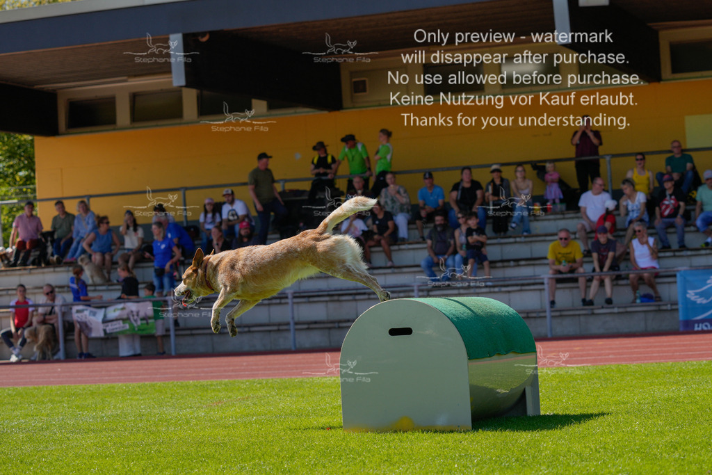 Sonntag_VK Hindernis (529 von 671) | stephaniefillaphotographie - Realisiert mit Pictrs.com