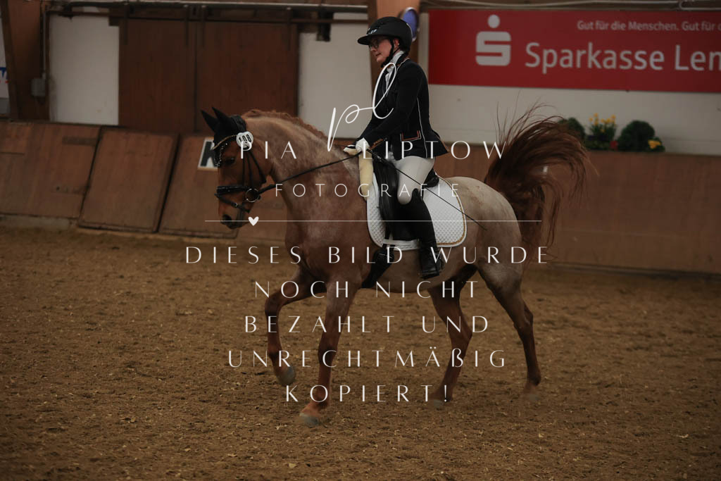 IMGT9365 | pl-fotografie