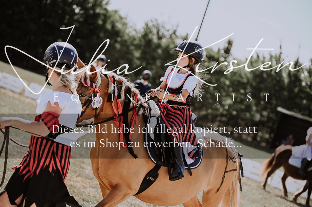 DSC_9040 | Pferde- und Turnierfotografie in Westsachsen. Pferdeportraits, Auftragszeichnungen und intuitive Kunst.
