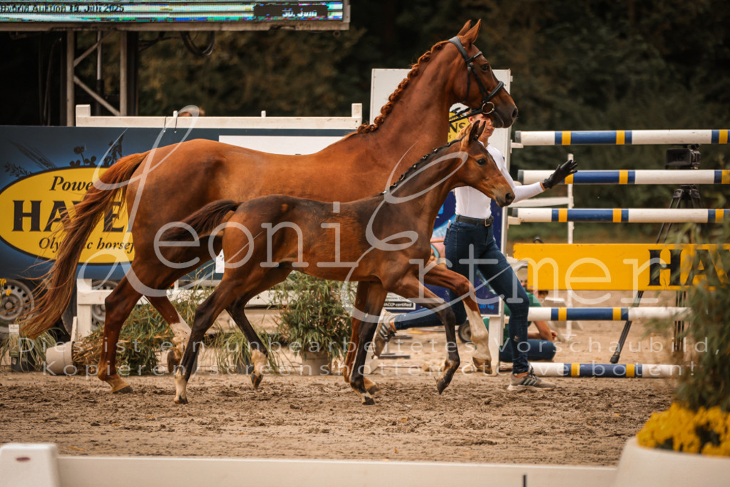 SaPA00311 | Leoni Ertmer Photography - Realisiert mit Pictrs.com