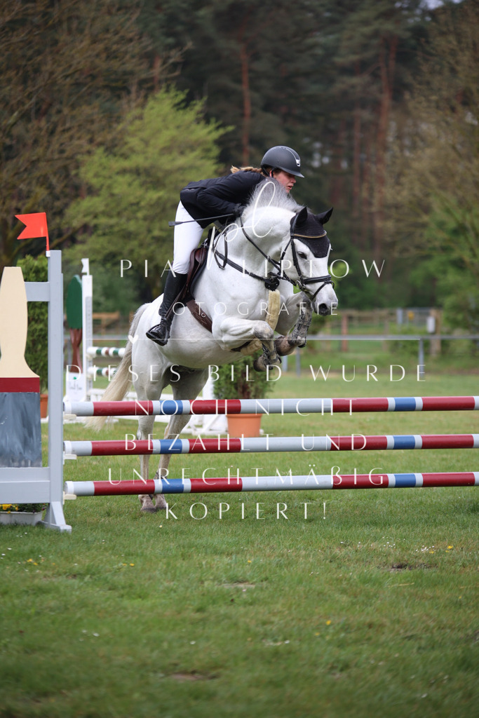 IMGT2799 | pl-fotografie