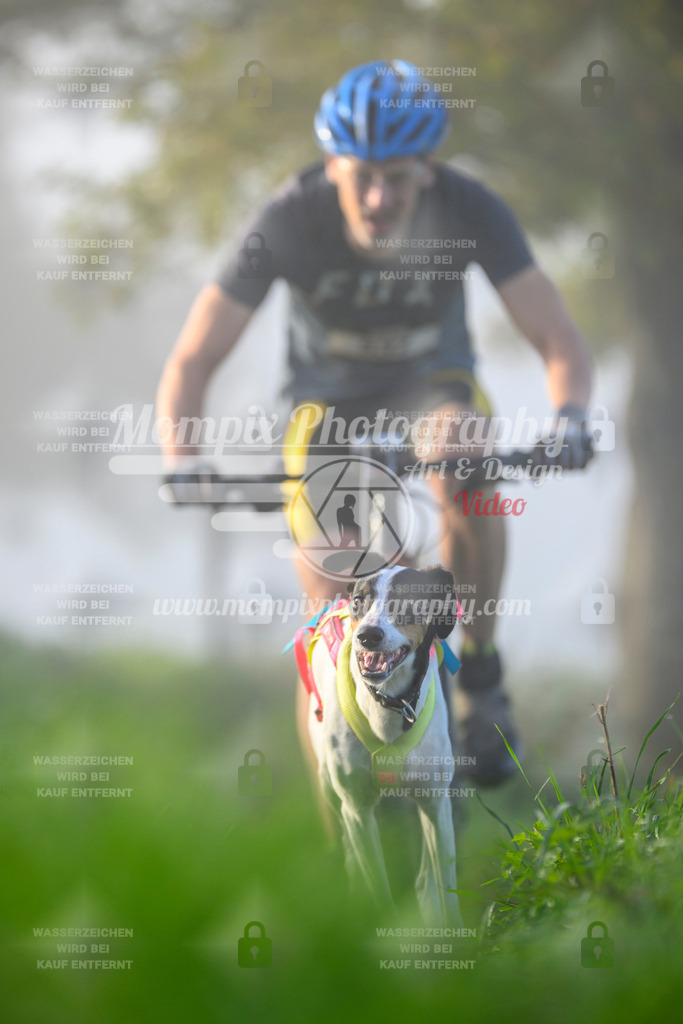 MompixPhotography_20TSB_E3_Bike-96 | PayLife