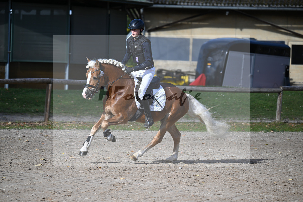 Kat-Nr. 10 Winnetou on fire v. Walzerblick_Keller_43250507 | hf-fotografie - Realisiert mit Pictrs.com