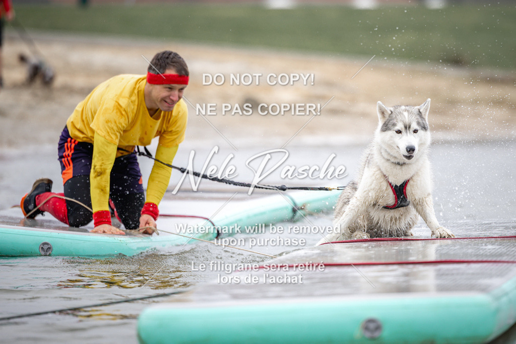 nelerasche_Hulsbeek_Sa1030-1100_289 | nelerasche