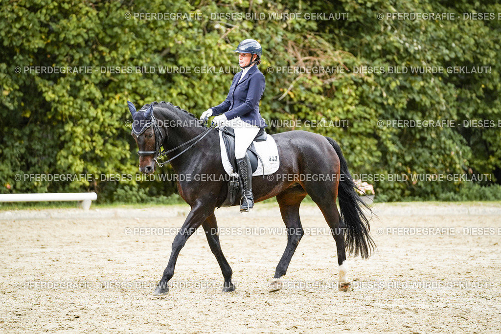 DSC06164 | Pferdegrafie