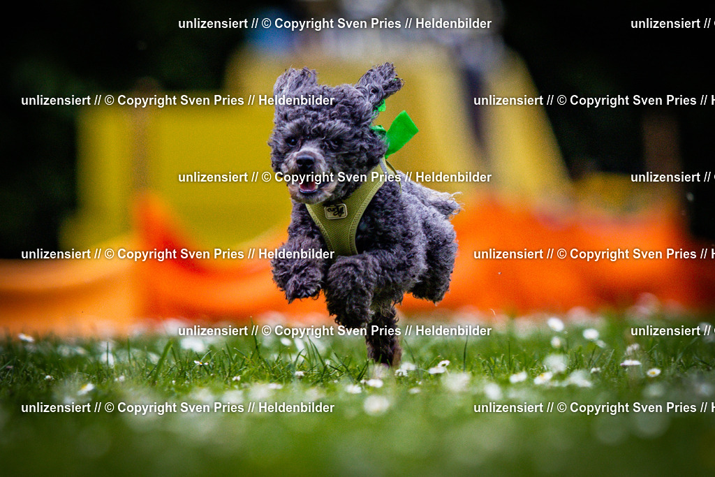 Sven Pries | 2025-05-29 - Pudelrennen KA-Durlach - Realisiert mit Pictrs.com