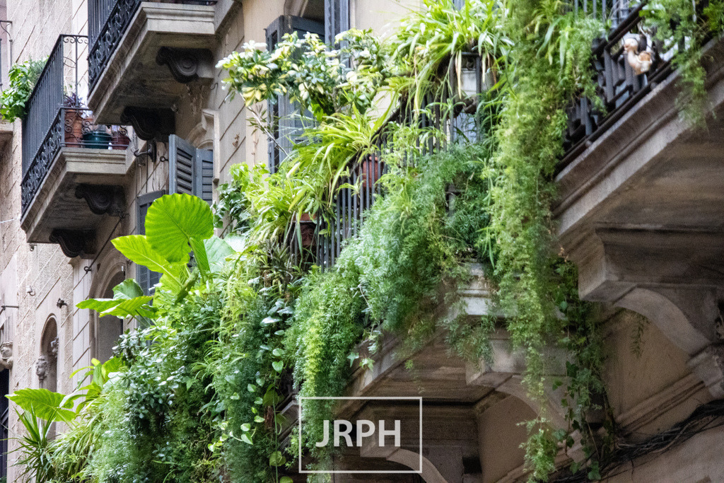 IMG_4183 | jrph - Realisiert mit Pictrs.com