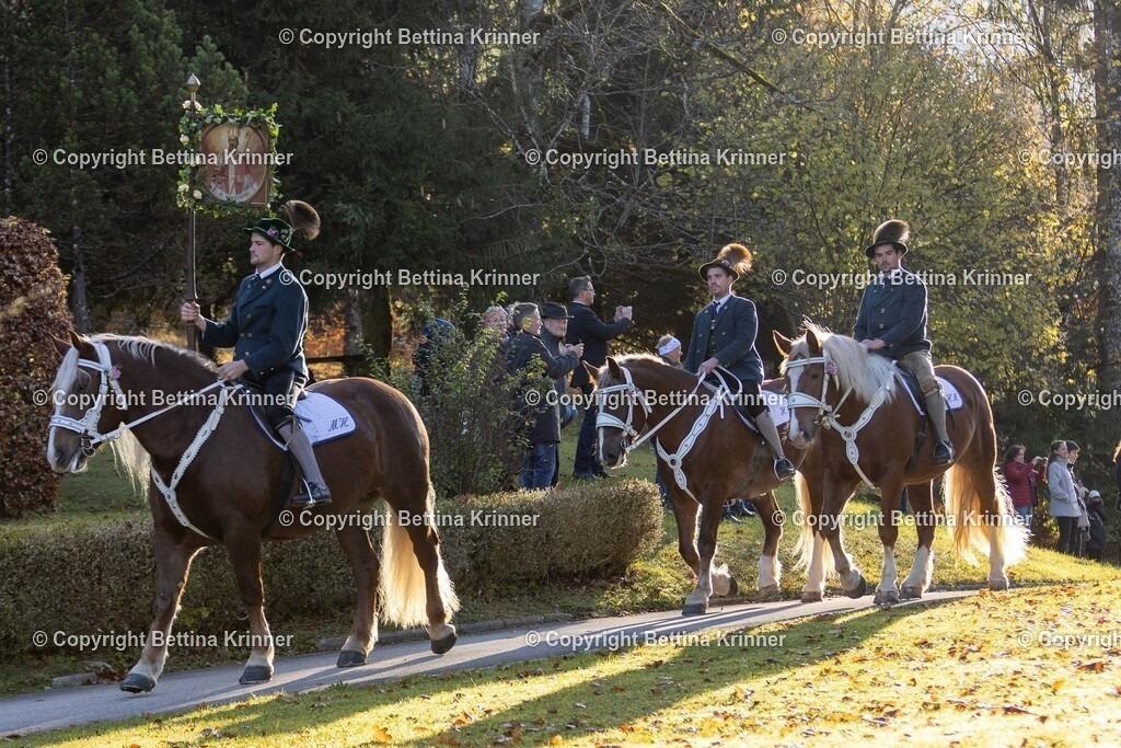 LL24-140 | foto-bettina-krinner - Realisiert mit Pictrs.com