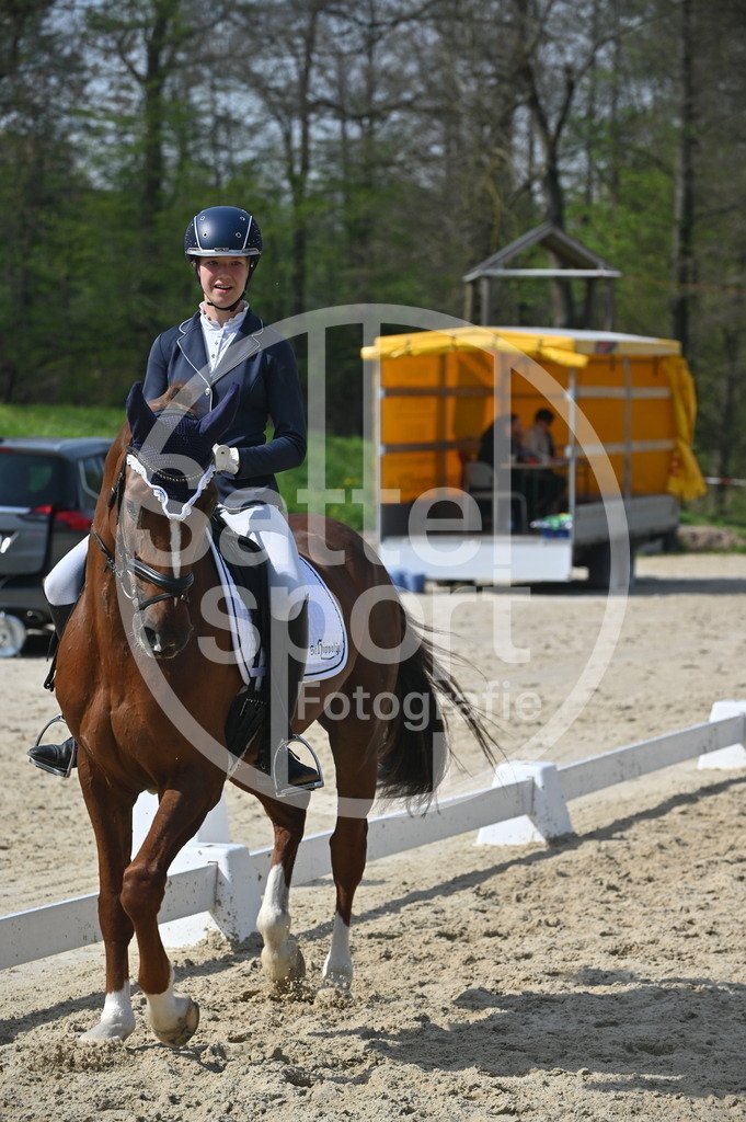 DSC_1113 | sattelsport - Realisiert mit Pictrs.com