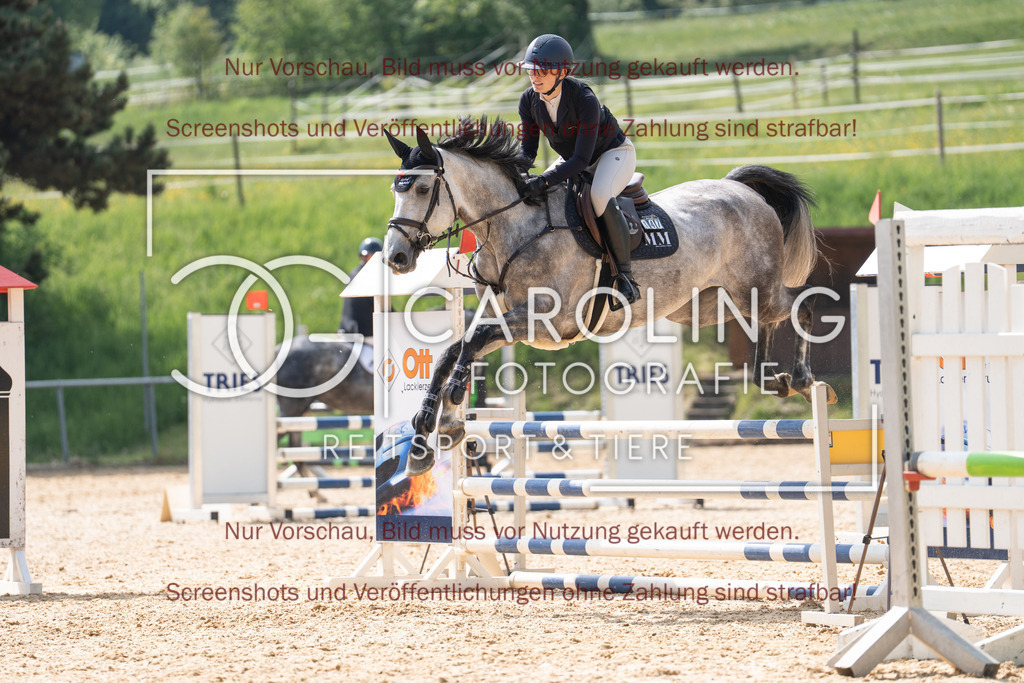 DSC04156 | Springturnier_Ehingen_Mai_2026, Laura_Marie_Schäfer, Chapita_6