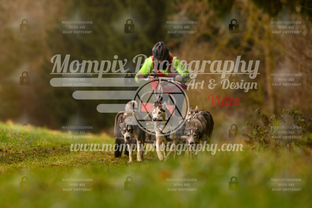 MompixPhotography_2SSTSSBW_2025_SO_Kart-15 | PayLife
