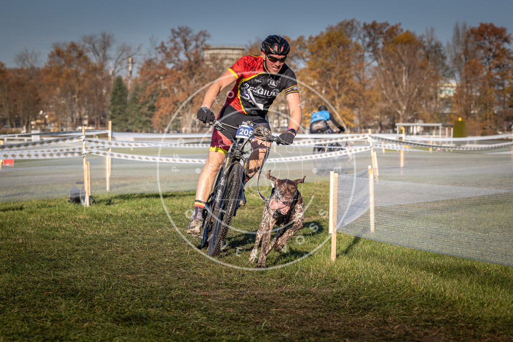 CaniXpix_0L8A4476 | Hundefotografie, Tierfotograf, Pfotenfotografie, Fotoshooting Hund, Hunde Portrait, Hundesport, Hundeportraits, Heideshooting, Hunde, Sportfotograf, Hundefotograf, Turnierhundsport, THS,  - Realisiert mit Pictrs.com