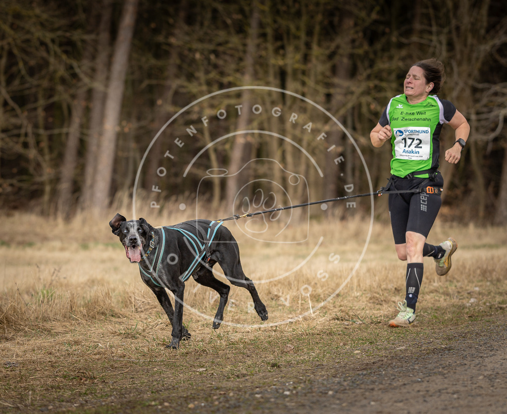 DV3A5400 | Hundefotografie, Tierfotograf, Pfotenfotografie, Fotoshooting Hund, Hunde Portrait, Hundesport, Hundeportraits, Heideshooting, Hunde, Sportfotograf, Hundefotograf, Turnierhundsport, THS,  - Realisiert mit Pictrs.com
