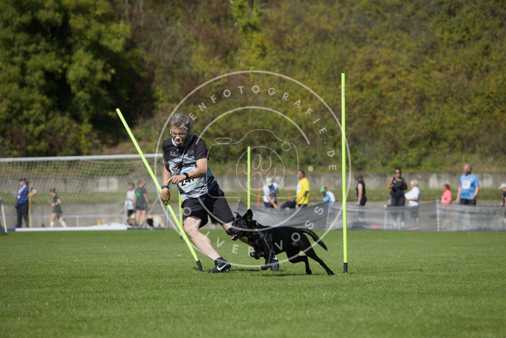 0L8A6248 | Hundefotografie, Tierfotograf, Pfotenfotografie, Fotoshooting Hund, Hunde Portrait, Hundesport, Hundeportraits, Heideshooting, Hunde, Sportfotograf, Hundefotograf, Turnierhundsport, THS,  - Realisiert mit Pictrs.com